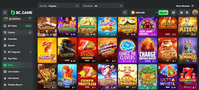 Unlock the World of Gaming with the BC.Game App